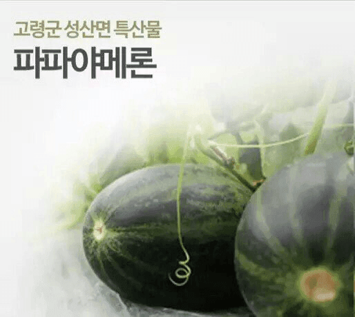 아빠 그만해를 일본어로?